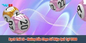Bạch thủ lô