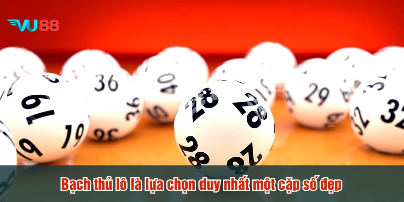 Bạch thủ lô là lựa chọn duy nhất một cặp số đẹp