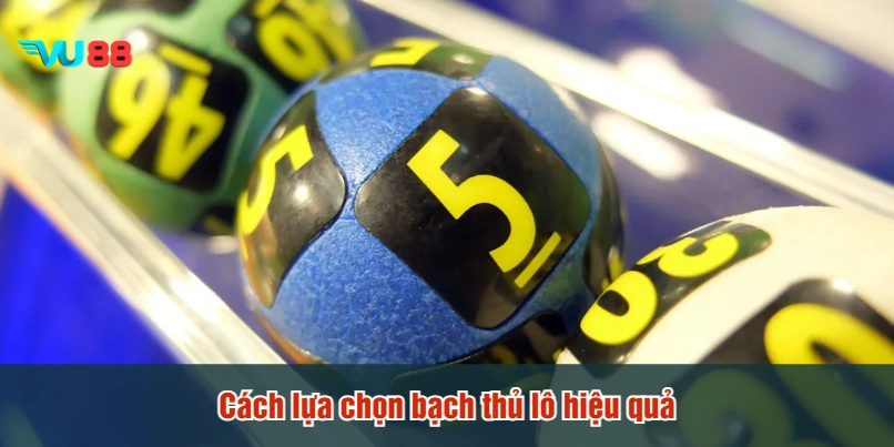 Cách lựa chọn bạch thủ lô hiệu quả