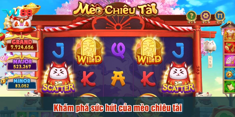 Khám phá sức hút của mèo chiêu tài